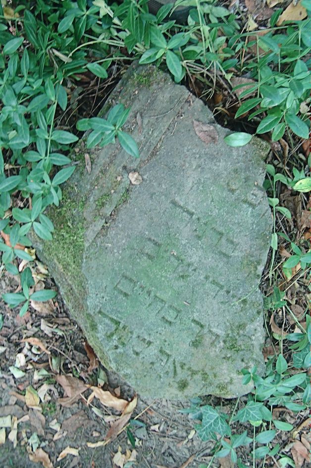 Grabstein Nummer 5 auf dem Friedhof Sulęcin (Zielenzig)