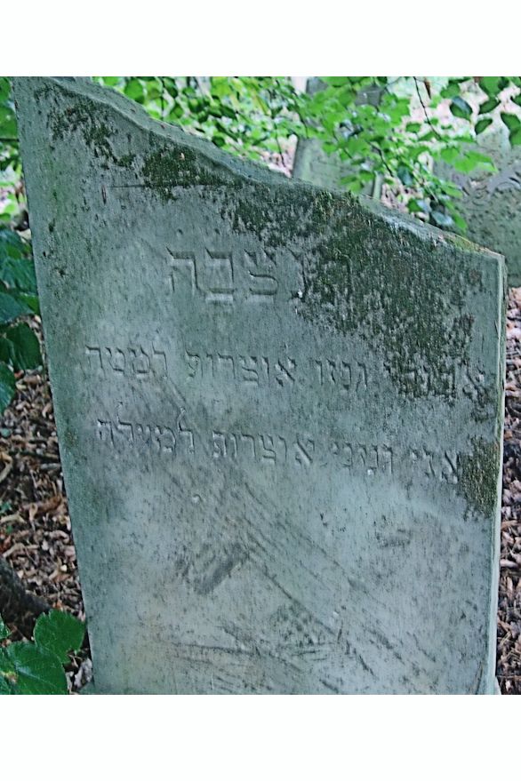 Grabstein Nummer 97 auf dem Friedhof Trzciel (Tirschtiegel)