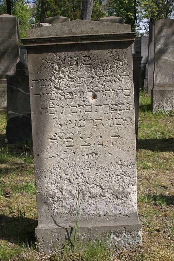 Grabstein Nummer 191 auf dem Friedhof Potsdam
