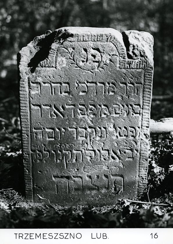 Grabstein Nummer 24 auf dem Friedhof Trzemeszno Lubuskie (Schermeisel)