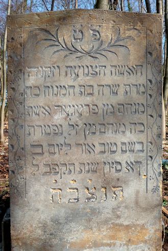 Grabstein Nummer 664 auf dem Friedhof Frankfurt/Oder