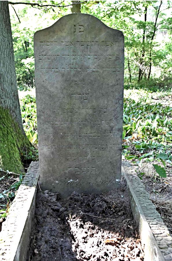 Grabstein Nummer 2 auf dem Friedhof Trzemeszno Lubuskie (Schermeisel)