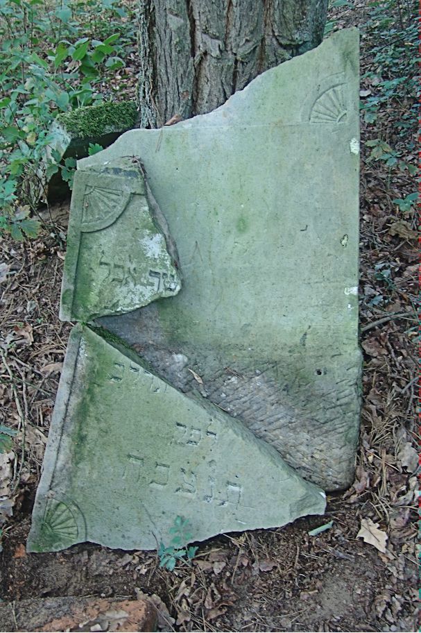 Grabstein Nummer 43 auf dem Friedhof Trzciel (Tirschtiegel)