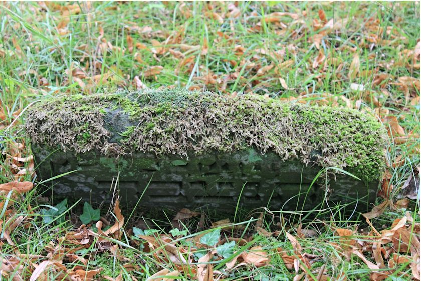Grabstein Nummer 12 auf dem Friedhof Potsdam