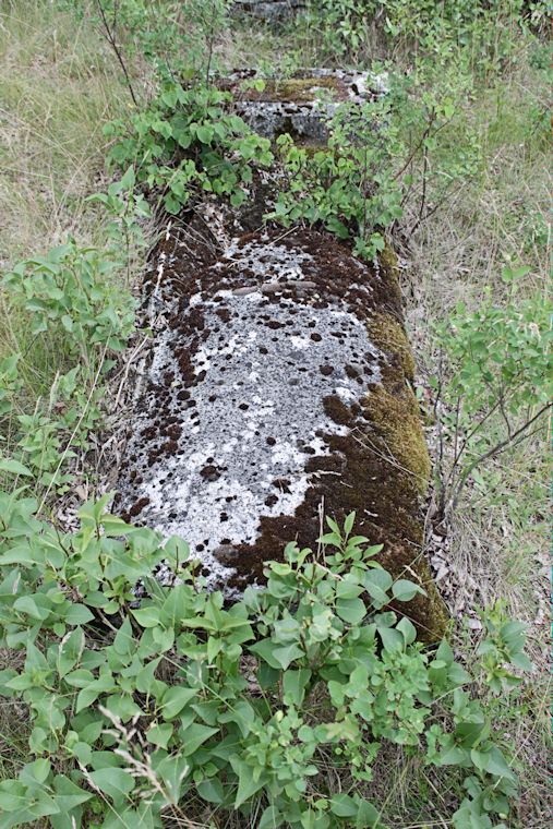 Grabstein Nummer 46 auf dem Friedhof Zasieki (Forst)