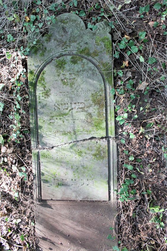 Grabstein Nummer 10 auf dem Friedhof Świętojańsko (St. Johannes)