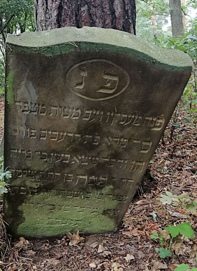 Grabstein Nummer 129 auf dem Friedhof Trzciel (Tirschtiegel)