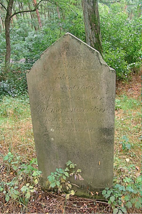 Grabstein Nummer 101 auf dem Friedhof Trzciel (Tirschtiegel)