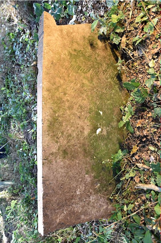 Grabstein Nummer 65 auf dem Friedhof Trzemeszno Lubuskie (Schermeisel)