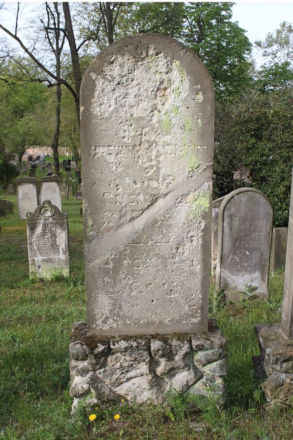 Grabstein Nummer 242 auf dem Friedhof Potsdam