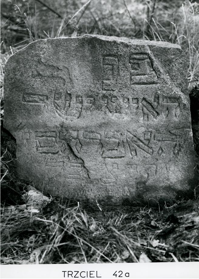 Grabstein Nummer 82 auf dem Friedhof Trzciel (Tirschtiegel)
