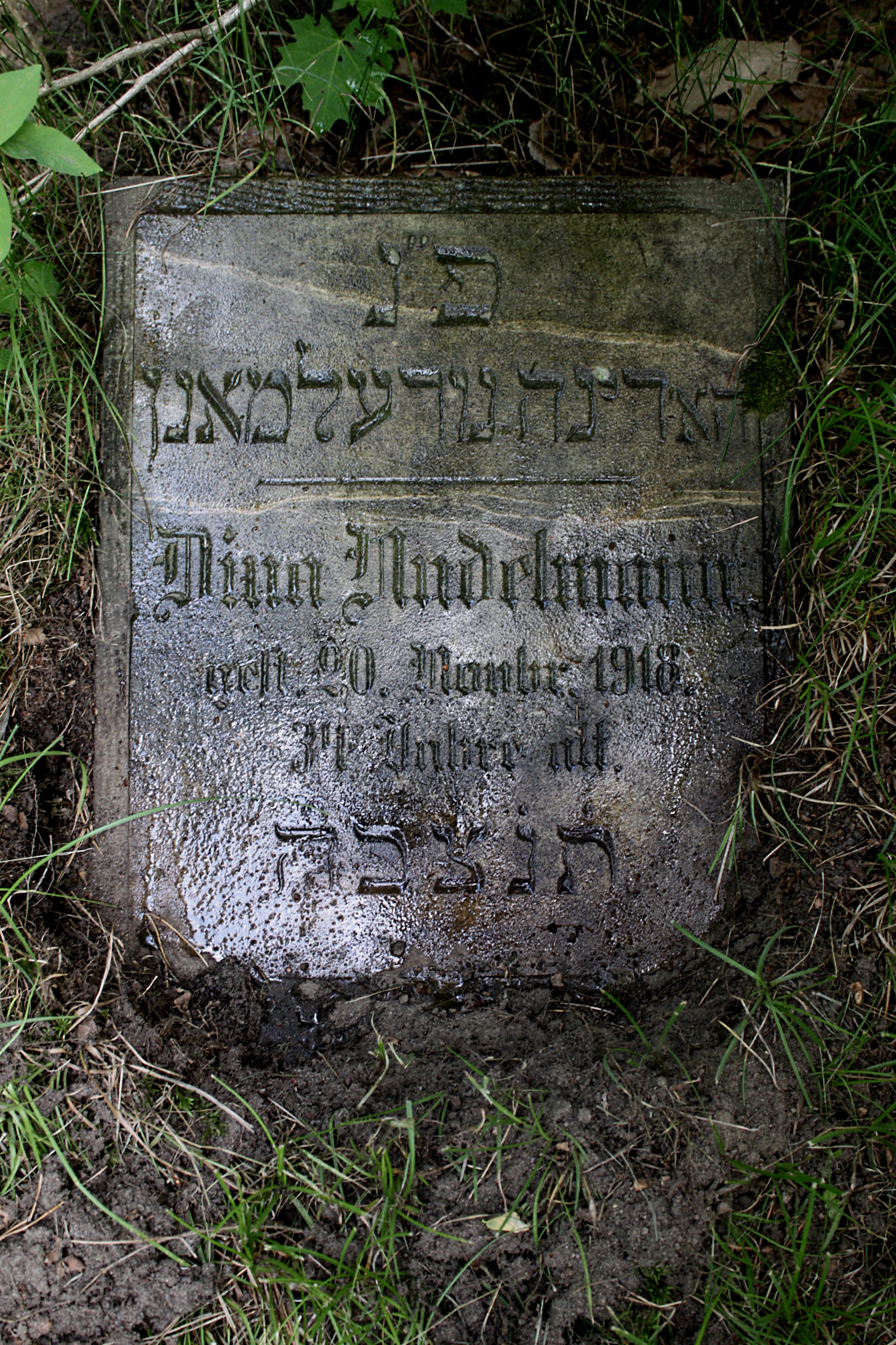 Grabstein Nummer 28 auf dem Friedhof Cottbus 1