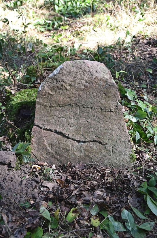 Grabstein Nummer 17 auf dem Friedhof Trzemeszno Lubuskie (Schermeisel)