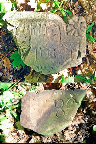 Grabstein Nummer 893 auf dem Friedhof Frankfurt/Oder
