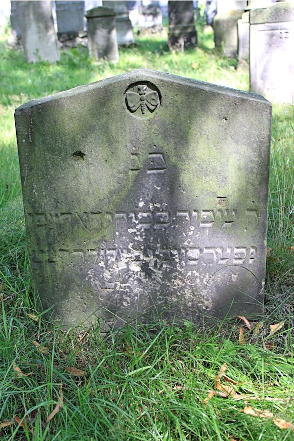 Grabstein Nummer 142 auf dem Friedhof Potsdam