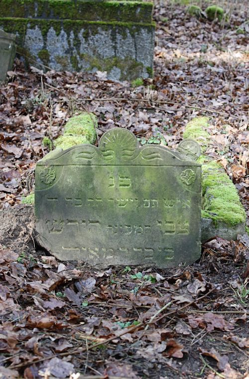 Grabstein Nummer 9 auf dem Friedhof Bledzew (Blesen)