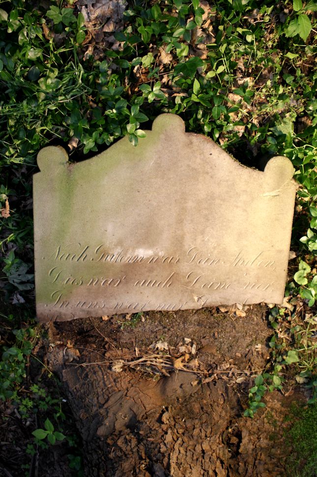 Grabstein Nummer 12 auf dem Friedhof Torzym (Sternberg)