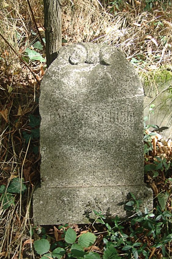 Grabstein Nummer 7 auf dem Friedhof Sulęcin (Zielenzig)