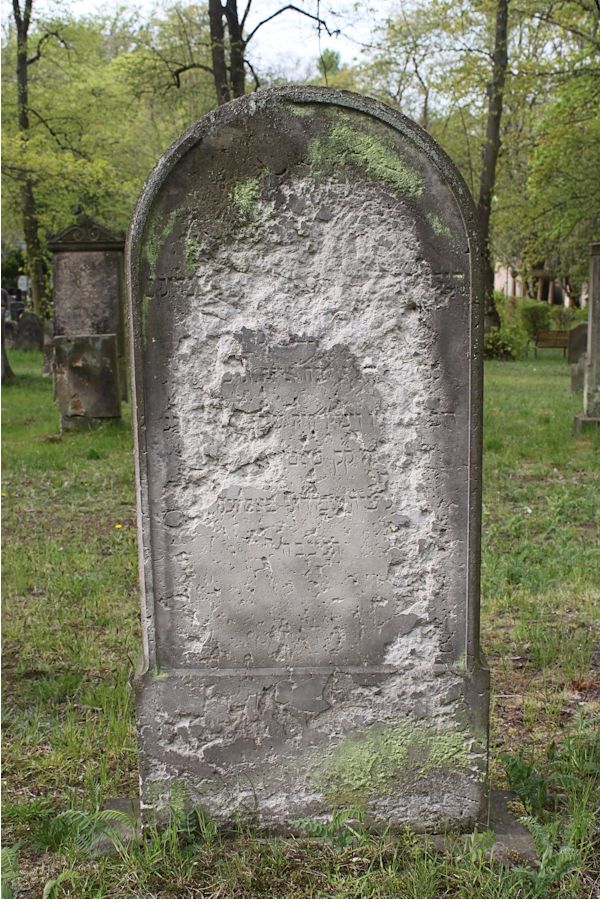 Grabstein Nummer 196 auf dem Friedhof Potsdam