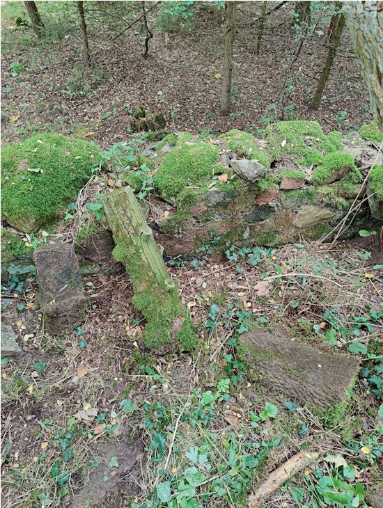 Grabstein Nummer 5 auf dem Friedhof Boleszkowice (Fürstenfelde)