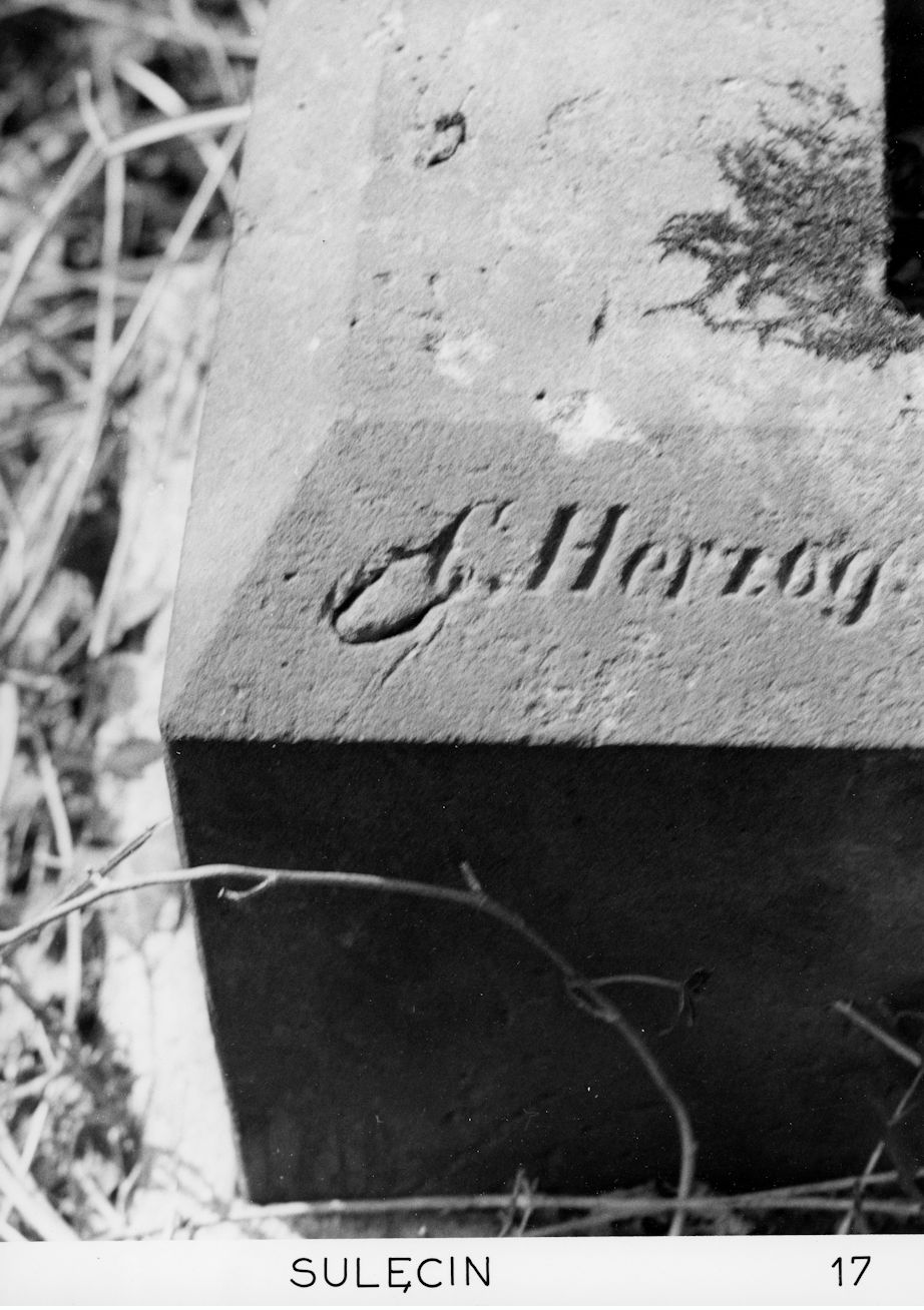 Grabstein Nummer 20 auf dem Friedhof Sulęcin (Zielenzig)