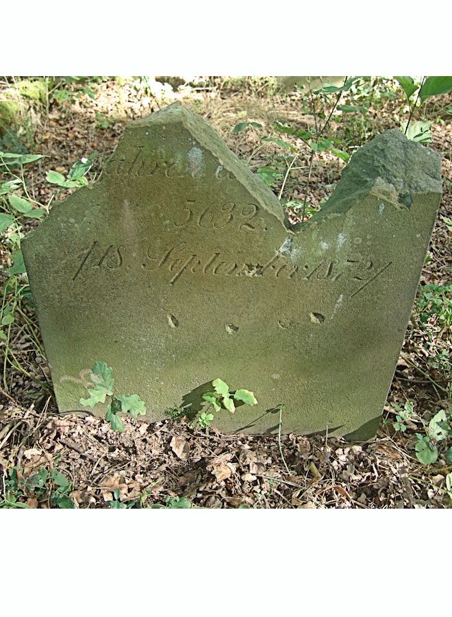Grabstein Nummer 33 auf dem Friedhof Trzciel (Tirschtiegel)