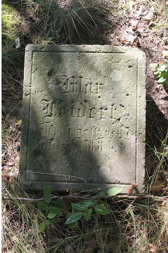 Grabstein Nummer 103 auf dem Friedhof Guben