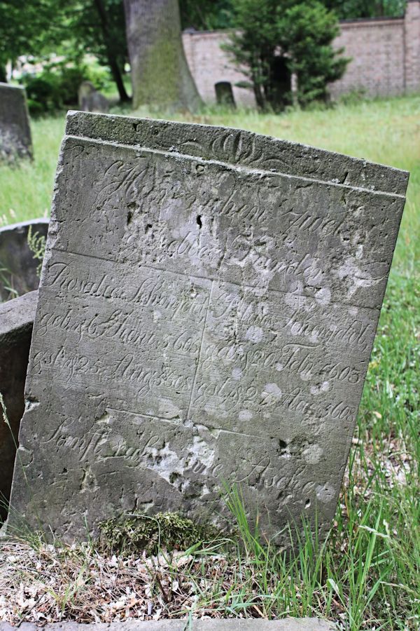 Grabstein Nummer 169 auf dem Friedhof Potsdam