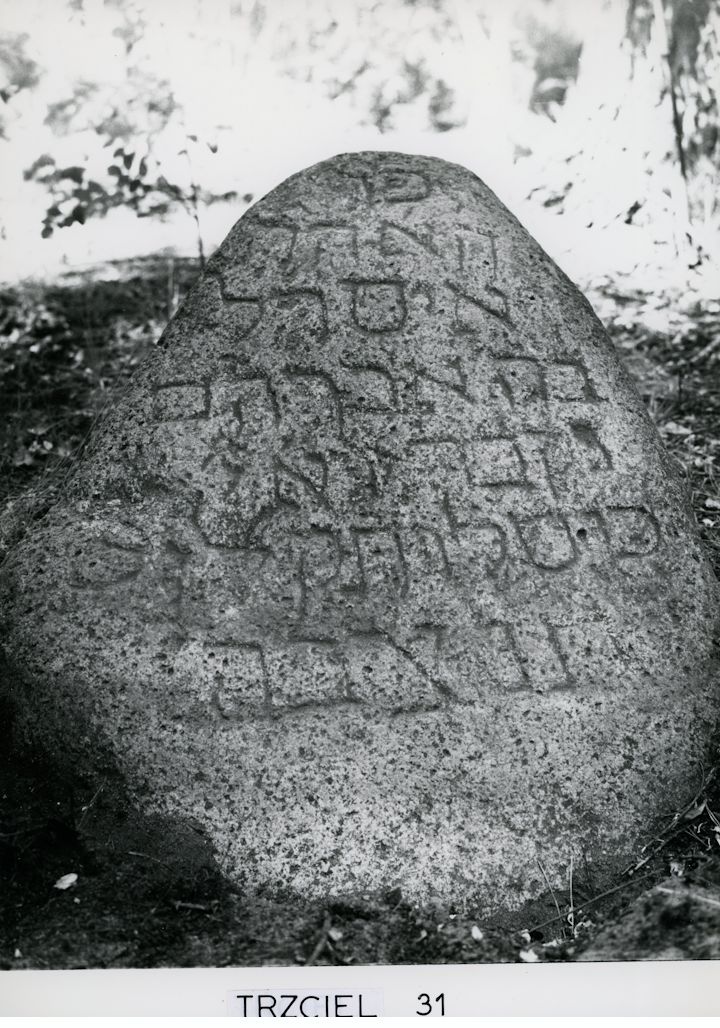 Grabstein Nummer 71 auf dem Friedhof Trzciel (Tirschtiegel)