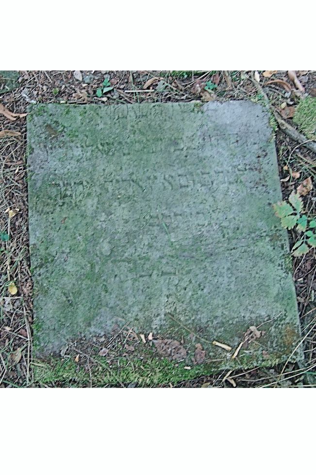 Grabstein Nummer 115 auf dem Friedhof Trzciel (Tirschtiegel)