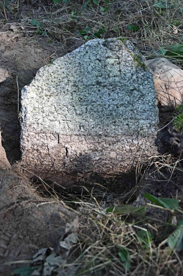 Grabstein Nummer 42 auf dem Friedhof Trzemeszno Lubuskie (Schermeisel)