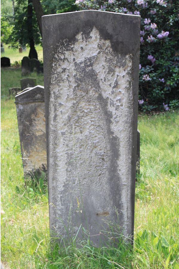 Grabstein Nummer 218 auf dem Friedhof Potsdam