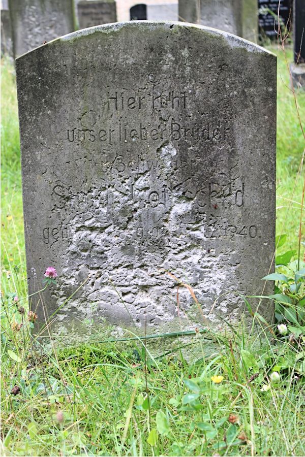 Grabstein Nummer 521 auf dem Friedhof Potsdam