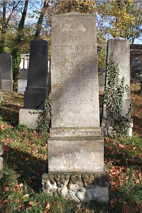 Grabstein Nummer 302 auf dem Friedhof Potsdam