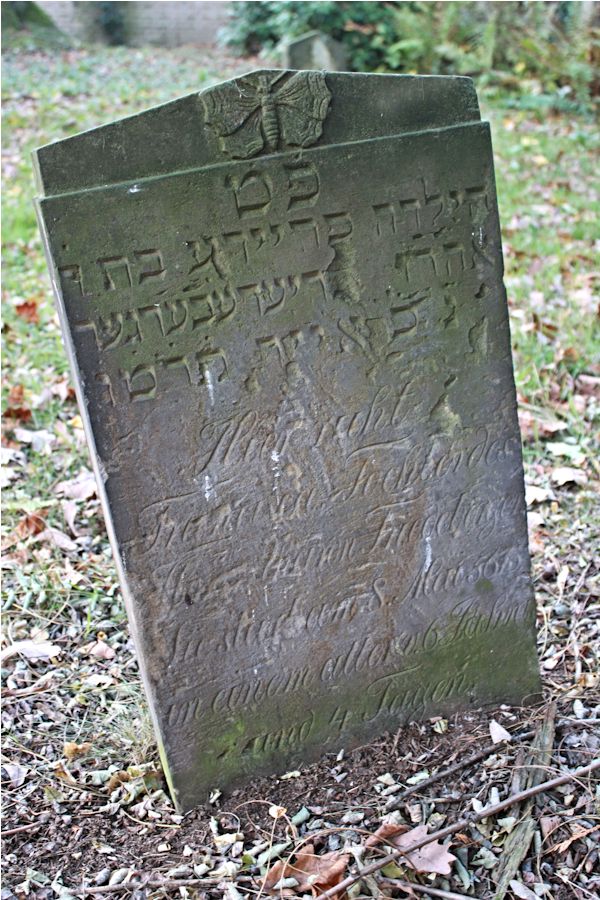 Grabstein Nummer 167 auf dem Friedhof Potsdam