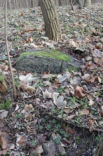 Grabstein Nummer 3 auf dem Friedhof Rzepin (Reppen)