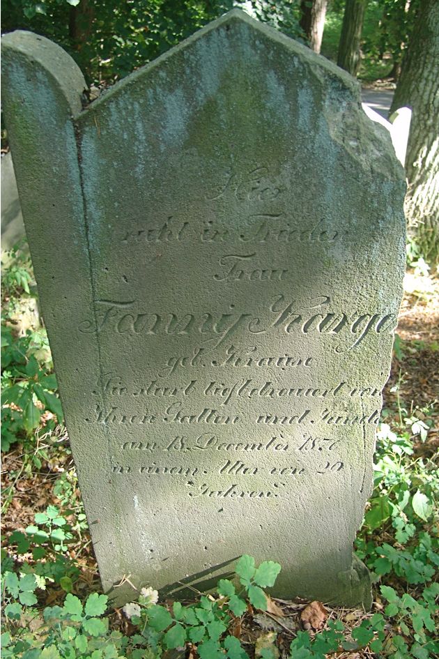 Grabstein Nummer 26 auf dem Friedhof Trzciel (Tirschtiegel)