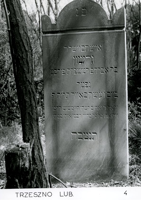 Grabstein Nummer 99 auf dem Friedhof Trzemeszno Lubuskie (Schermeisel)