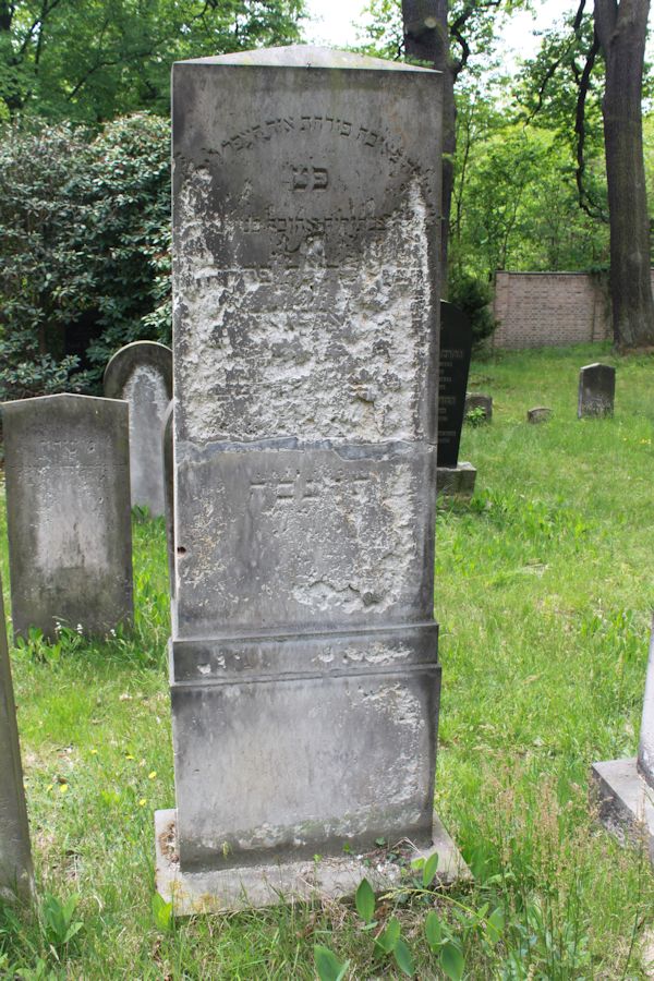 Grabstein Nummer 220 auf dem Friedhof Potsdam