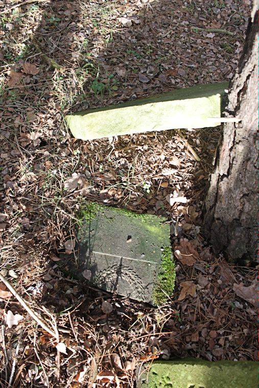 Grabstein Nummer 5 auf dem Friedhof Brójce (Brätz)