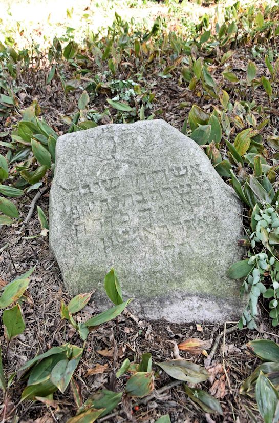 Grabstein Nummer 7 auf dem Friedhof Trzemeszno Lubuskie (Schermeisel)