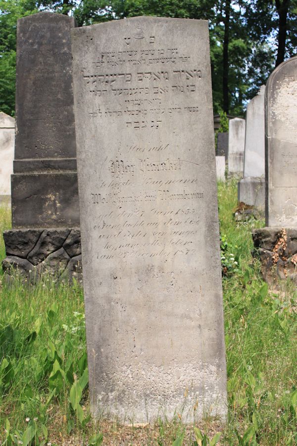 Grabstein Nummer 218 auf dem Friedhof Potsdam