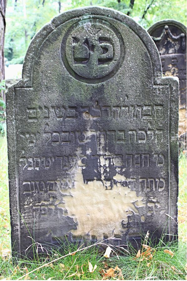 Grabstein Nummer 37 auf dem Friedhof Potsdam