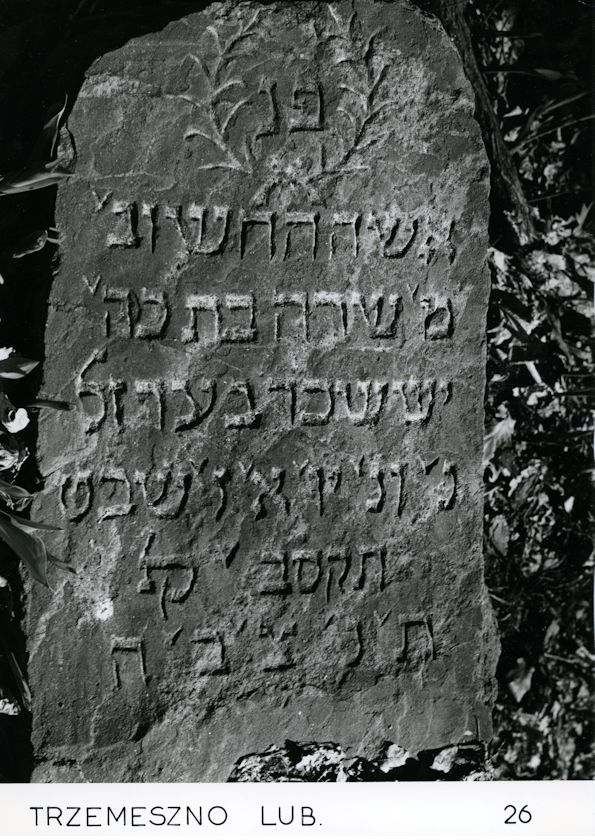 Grabstein Nummer 8 auf dem Friedhof Trzemeszno Lubuskie (Schermeisel)