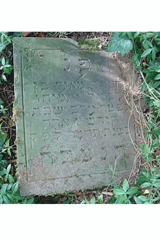 Grabstein Nummer 12 auf dem Friedhof Sulęcin (Zielenzig)