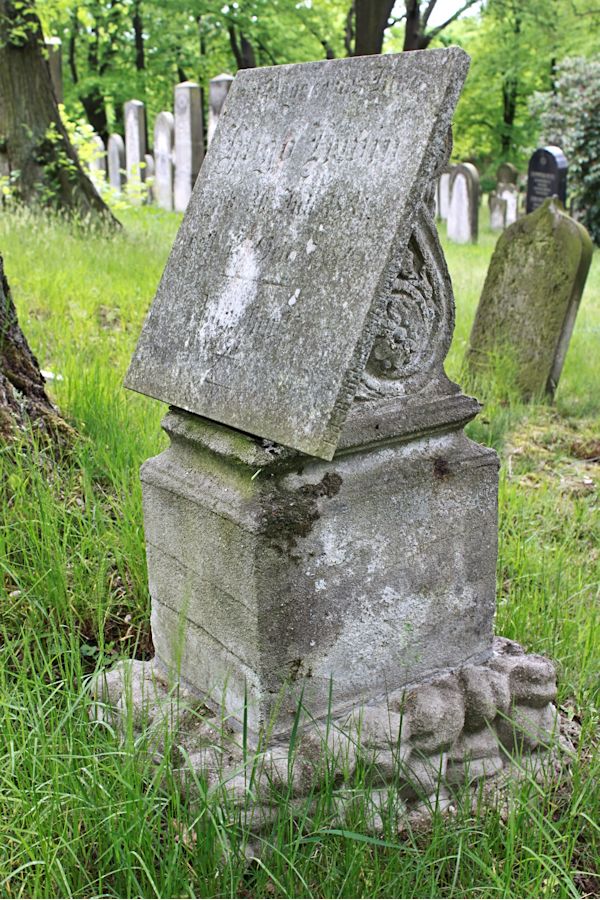 Grabstein Nummer 389 auf dem Friedhof Potsdam
