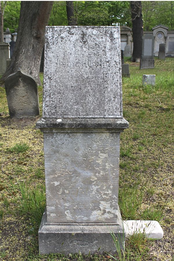 Grabstein Nummer 382 auf dem Friedhof Potsdam