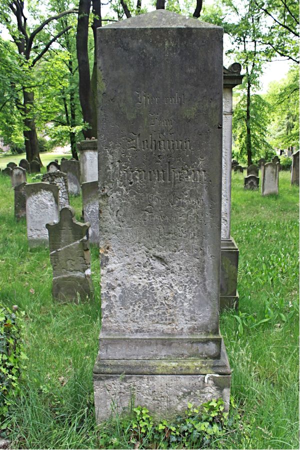 Grabstein Nummer 229 auf dem Friedhof Potsdam