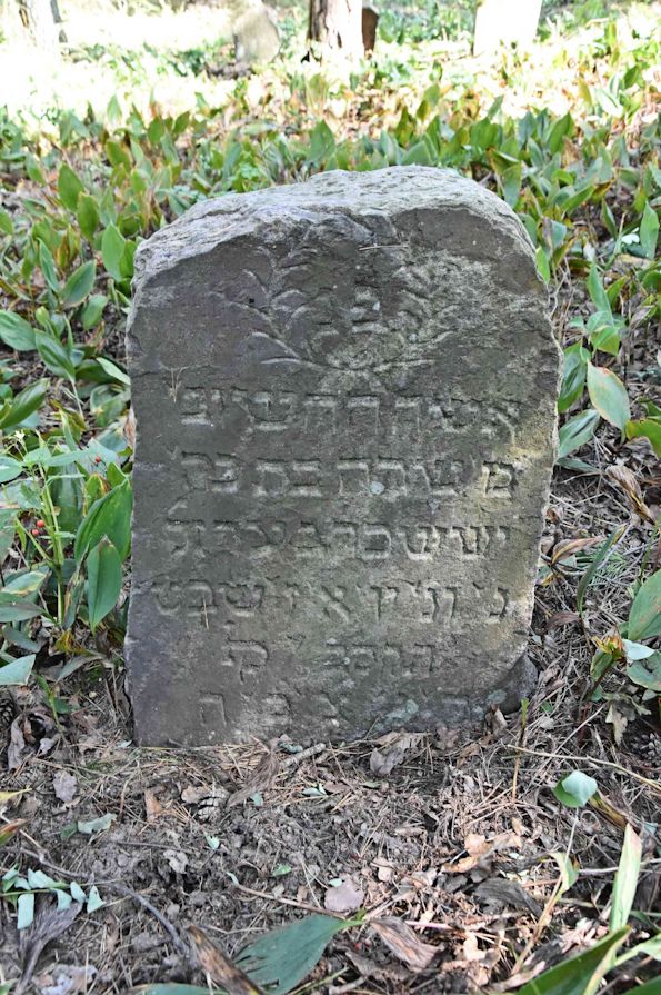 Grabstein Nummer 8 auf dem Friedhof Trzemeszno Lubuskie (Schermeisel)