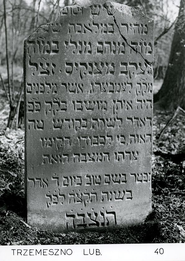 Grabstein Nummer 27 auf dem Friedhof Trzemeszno Lubuskie (Schermeisel)